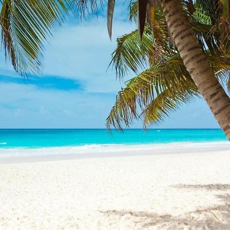 All Season Paradise In Cortez ブレーデントン エクステリア 写真